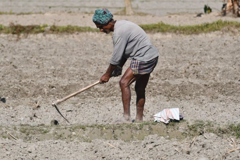 Free stock photo of agricultural activity, asian farmer