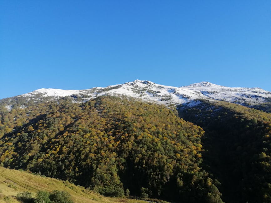 Beautiful mountain view with snow-covered peaks and lush green forest under a clear blue sky.