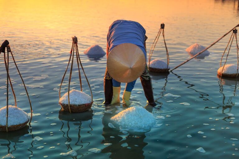 A person harvesting salt in shallow waters at sunset, wearing a conical hat.