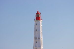 Free stock photo of 2025, 4k, 4k photo