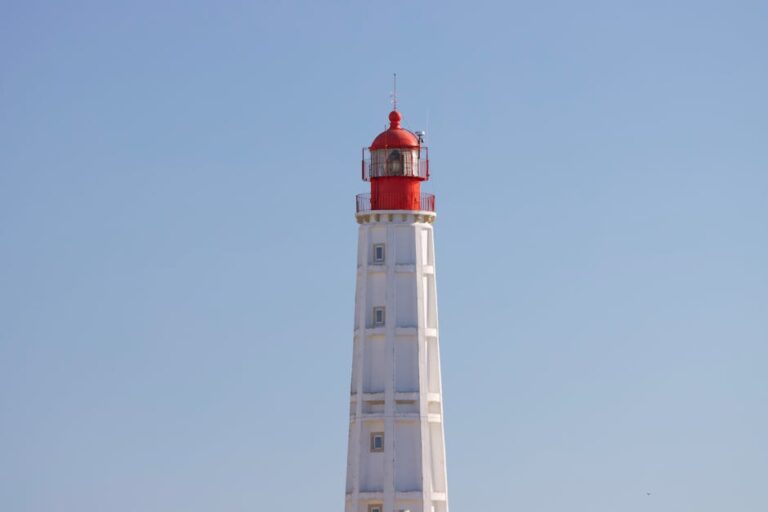 Free stock photo of 2025, 4k, 4k photo