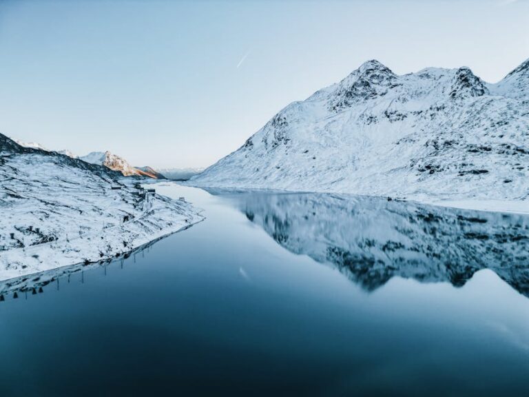 제로페이 가맹점 쉽게 찾는 방법(앱+지역별 꿀팁)