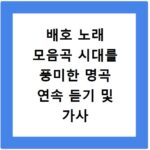 배호 노래 모음곡 시대를 풍미한 명곡 연속 듣기 및 가사
