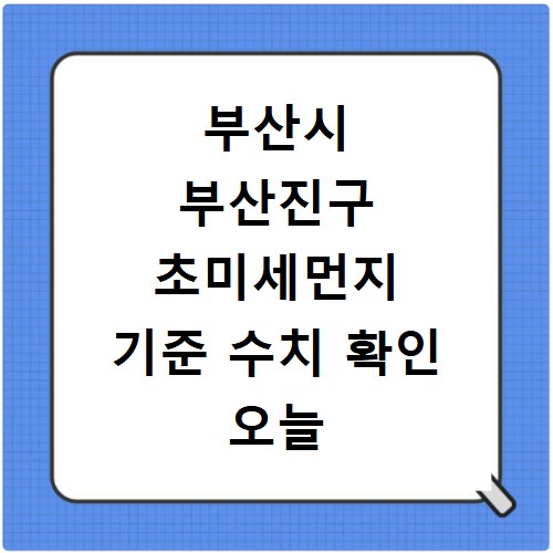부산시 부산진구 초미세먼지 기준 수치 확인 오늘 실시간 측정값 확인하기