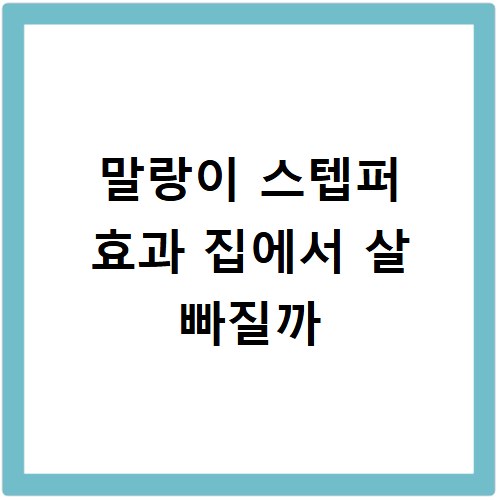 말랑이 스텝퍼 효과 집에서 살 빠질까