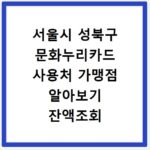 서울시 성북구 문화누리카드 사용처 가맹점 알아보기 잔액조회 방법까지