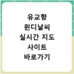 유교항 윈디날씨 실시간 지도 사이트 바로가기