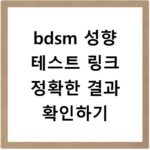 bdsm 성향 테스트 링크 정확한 결과 확인하기
