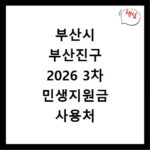 부산시 부산진구 2026 3차 민생지원금 사용처 총정리