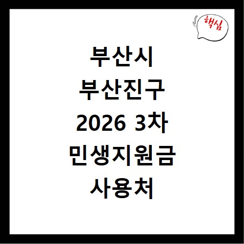 부산시 부산진구 2026 3차 민생지원금 사용처 총정리