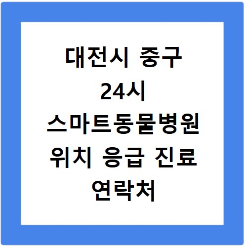 대전시 중구 24시 스마트동물병원 위치 응급 진료 연락처