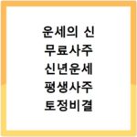 운세의 신 무료사주 신년운세 평생사주 토정비결 이용법