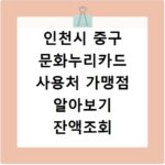 인천시 중구 문화누리카드 사용처 가맹점 알아보기 잔액조회 방법까지
