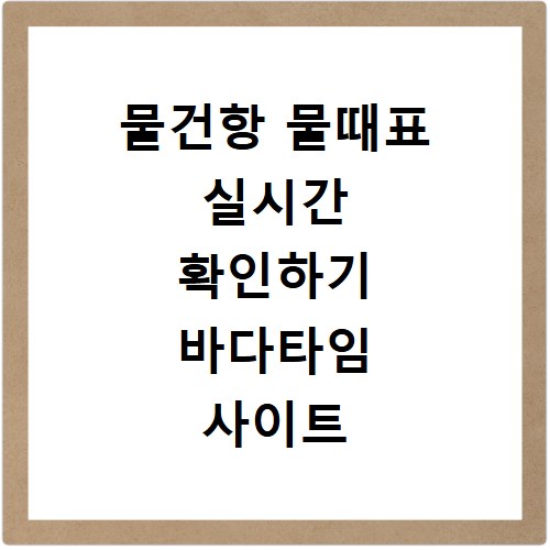 물건항 물때표 실시간 확인하기 바다타임 사이트 바로가기