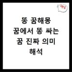 똥 꿈해몽 꿈에서 똥 싸는 꿈 진짜 의미 해석