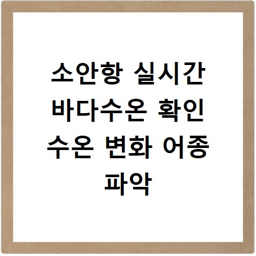 소안항 실시간 바다수온 확인 수온 변화 어종 파악