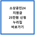 소상공인24 지원금 25만원 신청 누리집 바로가기