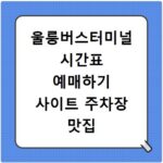 울릉버스터미널 시간표 예매하기 사이트 주차장 맛집 카페