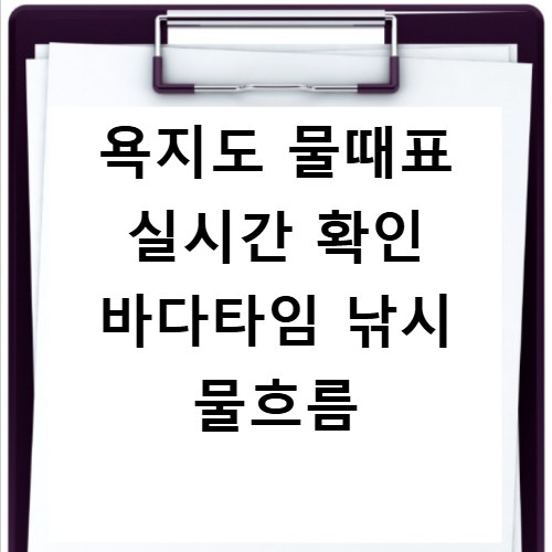 욕지도 물때표 실시간 확인 바다타임 낚시 물흐름