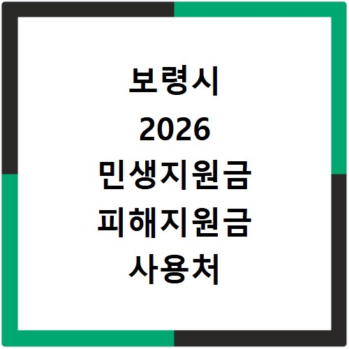 보령시 2026 민생지원금 피해지원금 사용처 총정리