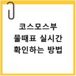 코스모스부 물때표 실시간 확인하는 방법