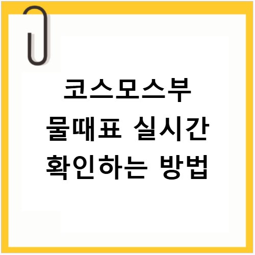 코스모스부 물때표 실시간 확인하는 방법