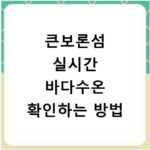 큰보론섬 실시간 바다수온 확인하는 방법