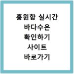 홍원항 실시간 바다수온 확인하기 사이트 바로가기