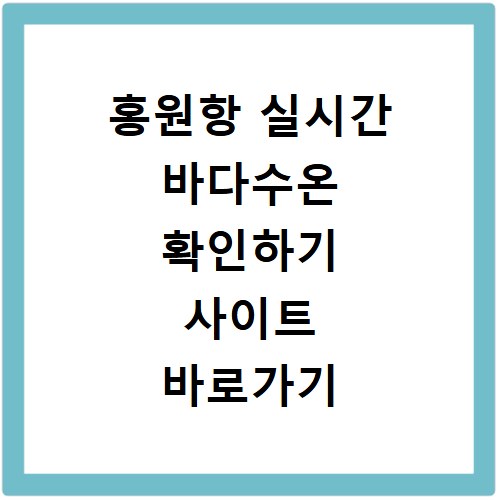홍원항 실시간 바다수온 확인하기 사이트 바로가기
