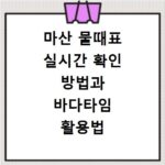 마산 물때표 실시간 확인 방법과 바다타임 활용법
