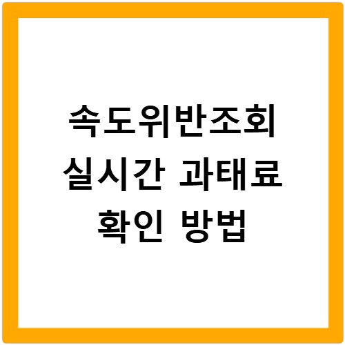 속도위반조회 실시간 과태료 확인 방법
