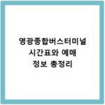 영광종합버스터미널 시간표와 예매 정보 총정리