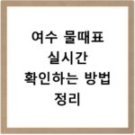 여수 물때표 실시간 확인하는 방법 정리