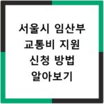 서울시 임산부 교통비 지원 신청 방법 알아보기
