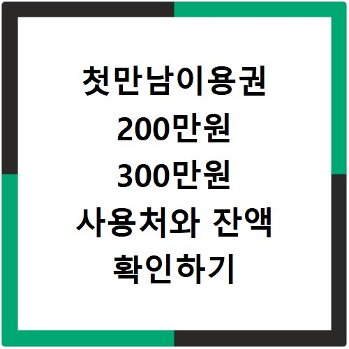 첫만남이용권 200만원 300만원 사용처와 잔액 확인하기