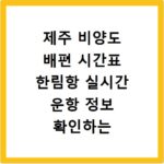 제주 비양도 배편 시간표 한림항 실시간 운항 정보 확인하는 방법