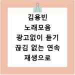 김용빈 노래모음 광고없이 듣기 끊김 없는 연속 재생으로 감상하기