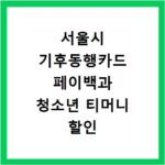 서울시 기후동행카드 페이백과 청소년 티머니 할인 확인