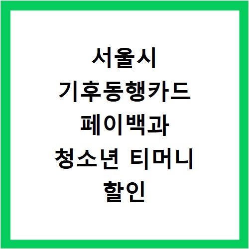 서울시 기후동행카드 페이백과 청소년 티머니 할인 확인