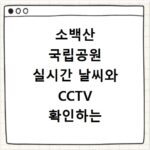 소백산 국립공원 실시간 날씨와 CCTV 확인하는 방법 및 사이트 바로가기