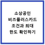 소상공인 비즈플러스카드 조건과 최대 한도 확인하기