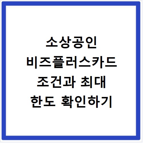 소상공인 비즈플러스카드 조건과 최대 한도 확인하기