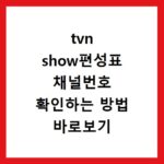 tvn show편성표 채널번호 확인하는 방법 바로보기