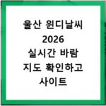 울산 윈디날씨 2026 실시간 바람 지도 확인하고 사이트 바로가기 이용하는 방법