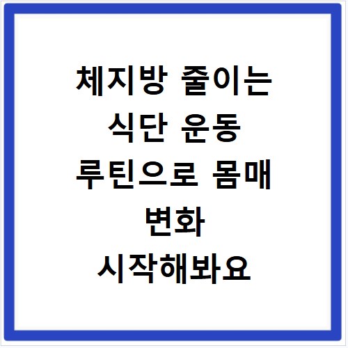체지방 줄이는 식단 운동 루틴으로 몸매 변화 시작해봐요
