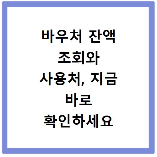 바우처 잔액 조회와 사용처, 지금 바로 확인하세요