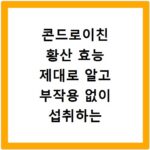 콘드로이친 황산 효능 제대로 알고 부작용 없이 섭취하는 법