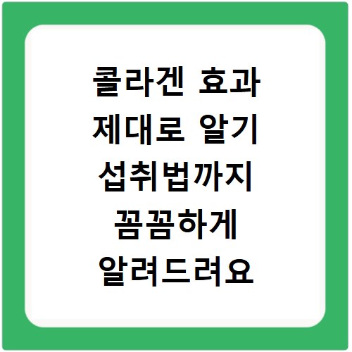 콜라겐 효과 제대로 알기 섭취법까지 꼼꼼하게 알려드려요