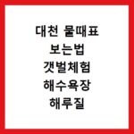 대천 물때표 보는법 갯벌체험 해수욕장 해루질 하기 좋은 시간