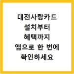 대전사랑카드 설치부터 혜택까지 앱으로 한 번에 확인하세요